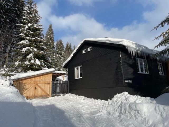 Апартаменти Nordik 1496 Високі Татри Екстер'єр фото