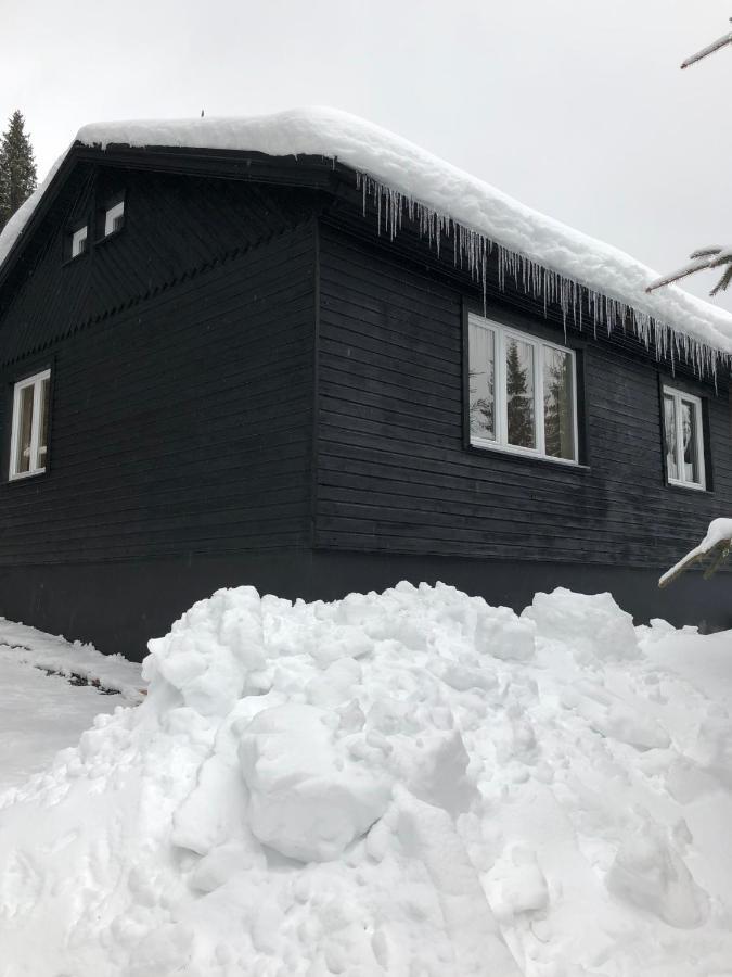 Апартаменти Nordik 1496 Високі Татри Екстер'єр фото